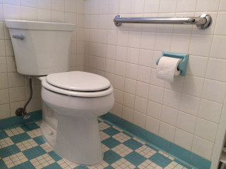 new_toilet (3).JPG